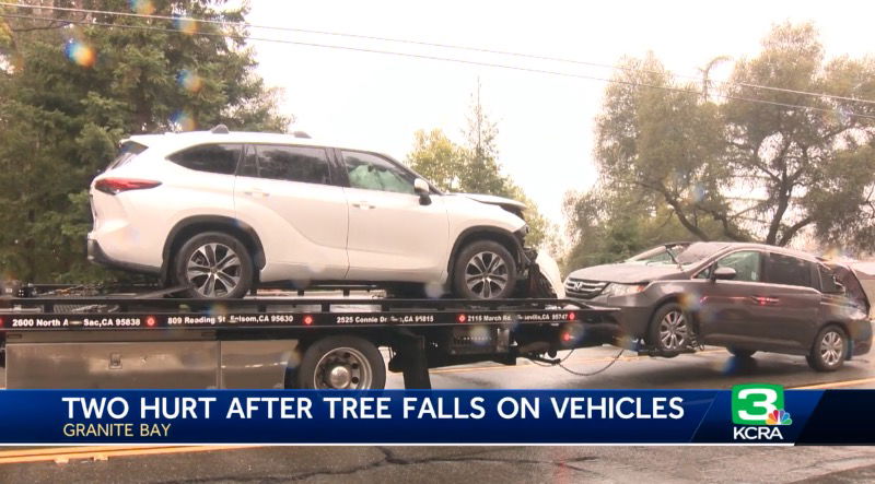 <i>KCRA</i><br/>A tree fell down in Granite Bay and struck two vehicles on Sunday afternoon