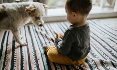 A new study found young children exposed to cats or indoor dogs had a lower risk of all food allergies compared with babies in pet-free homes.