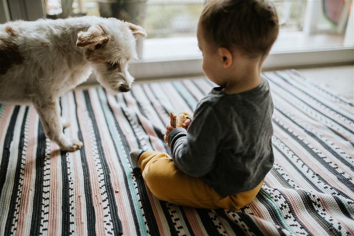 <i>Paulo Sousa/EyeEm/Getty Images</i><br/>A new study found young children exposed to cats or indoor dogs had a lower risk of all food allergies compared with babies in pet-free homes.