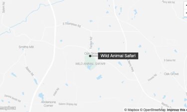 Two tigers have been recaptured after escaping a Georgia safari park during a tornado warning Sunday morning