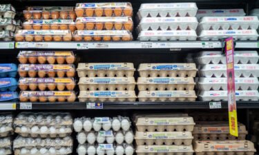 High egg prices send profits at Cal-Maine Foods