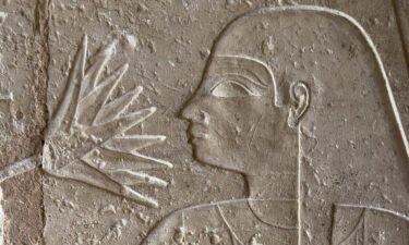 An Egyptian figure is shown smelling a lotus from the tomb of Meresankh in Giza