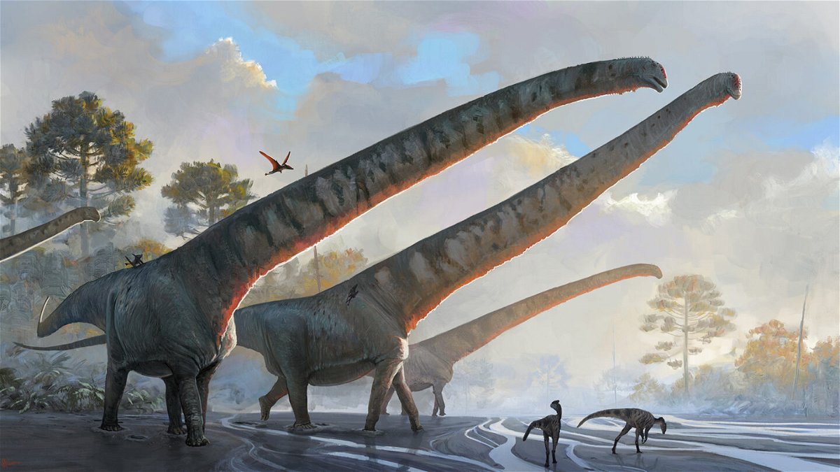 <i>Júlia d'Oliveira</i><br/>Mamenchisaurus sinocanadorum had the longest neck of any known dinosaur