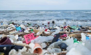 More than 170 trillion plastic particles found in the ocean as pollution reaches 'unprecedented' levels. Plastic pollution is pictured on a beach in Honduras.