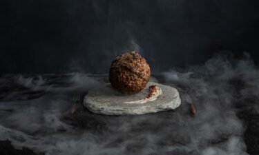 An Australian startup has created lab-grown meatballs made with mammoth DNA.