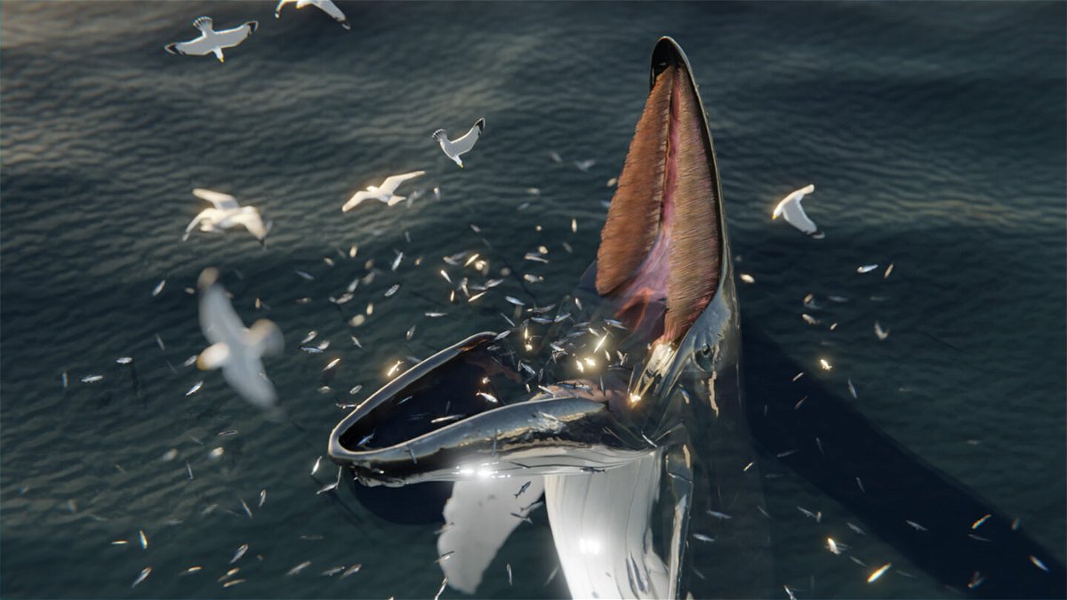 <i>J. McCarthy</i><br/>A digital reconstruction of a humpback whale trap feeding