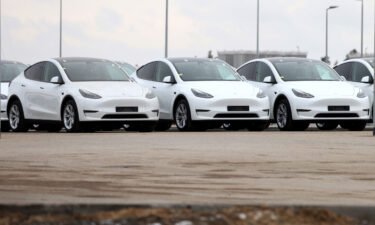 Tesla Model Y electric vehicles are seen parked at the Tesla Inc. Gigafactory in Gruenheide