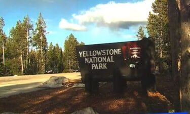Over 60 earthquakes at Yellowstone Lake are not a sign of impending doom