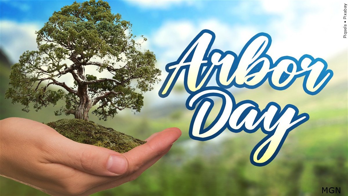 SalmonChallis National Forest celebrates Arbor Day Local News 8