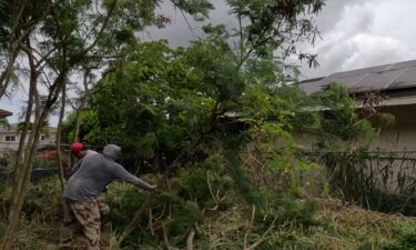 Strangers step in to help Kalihi property owner facing $17 million in fines for overgrown weeds.