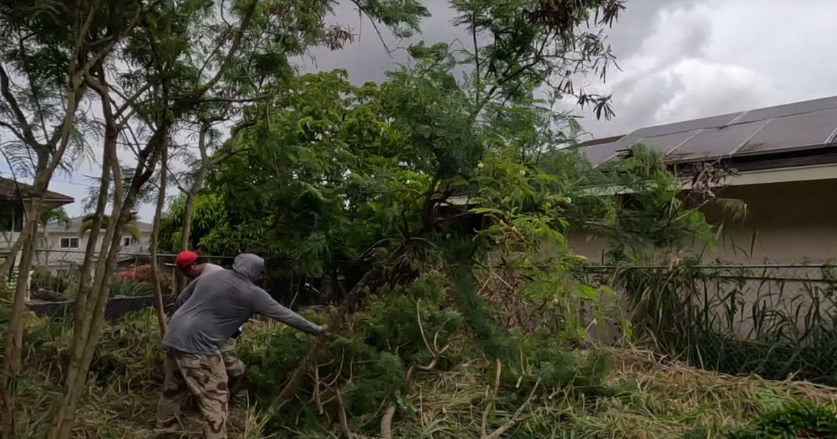 <i></i><br/>Strangers step in to help Kalihi property owner facing $17 million in fines for overgrown weeds.