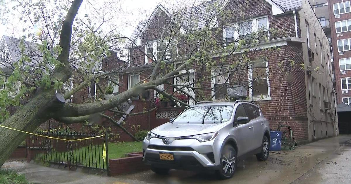 <i>WCBS</i><br/>Storms in Brooklyn