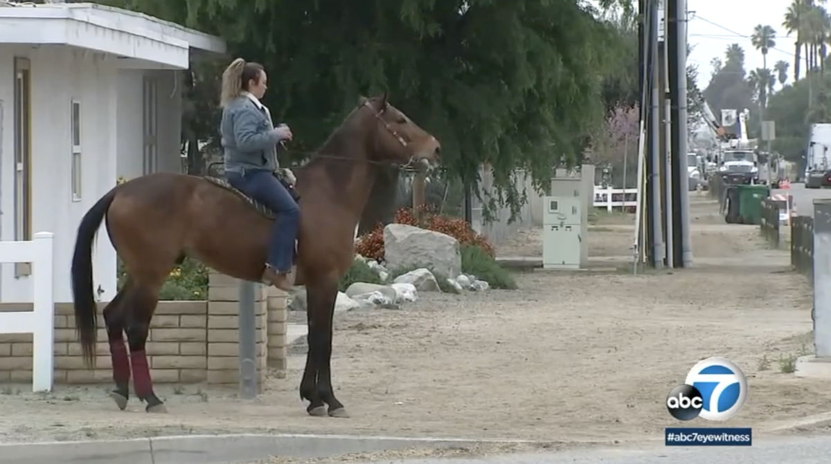 <i>KABC</i><br/>Horse owners in Norco