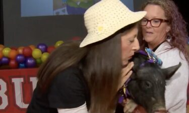 There was big applause at Auburn Village School Wednesday because the school's principal agreed to kiss Easy the pig. This started with a storybook that the school's first graders read about a principal who kisses a pig as a reward for kids reading 100 books. Auburn Principal Lori Collins said they could do better than that.