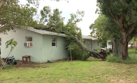 <i>WPBF</i><br/>Two families in Fort Pierce were forced to leave their homes after a large tree crashed through a roof in their duplex.
