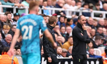 Cristian Stellini was fired from his role as caretaker manager after the defeat to Newcastle.