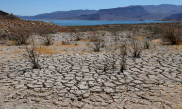 Lake Mead is seen in the distance in an area that used to be underwater near Boulder Beach on June 12