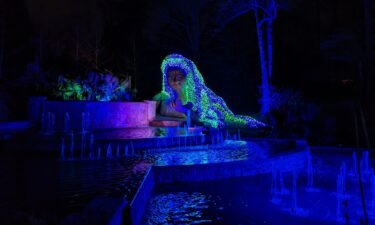 Lights illuminate the Atlanta Botanical Gardens