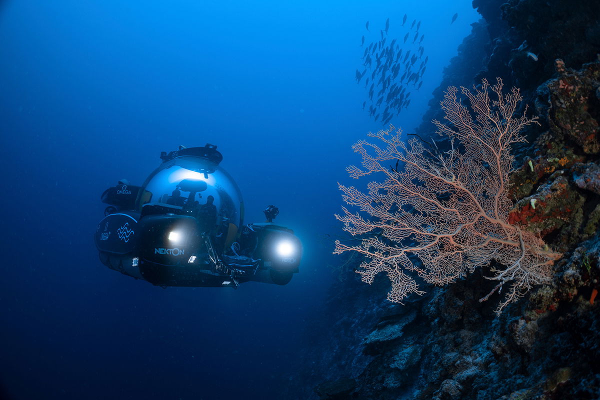 <i>Ocean Census/AP</i><br/>Scientists use deep-sea submersibles to examine coral reefs off the Maldives in September 2022 as part of a mission to gain insights on the impact of carbon emissions and overfishing.