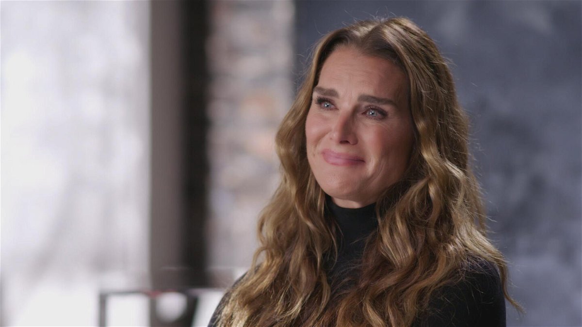 <i>Hulu</i><br/>Brooke Shields sits for an interview in 