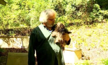 John Koerber and his 6-year-old Yorkie ChewB encountered a bear in the yard of their Henderson County home. Koerber fights off the bear to save his 'best friend'.