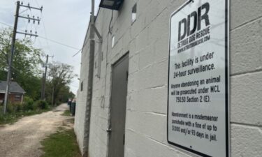 The staff at Detroit Dog Rescue on Grand River Ave. in Detroit said they found the weeks old brindle pit bull in their back alley in a red Rubbermaid bin Thursday morning. They say the animal had obviously been tortured and showed signs of neglect too.