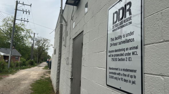 <i>WXYZ</i><br/>The staff at Detroit Dog Rescue on Grand River Ave. in Detroit said they found the weeks old brindle pit bull in their back alley in a red Rubbermaid bin Thursday morning. They say the animal had obviously been tortured and showed signs of neglect too.