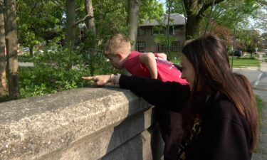 A new visitor is building some real estate in Tannery Brook. Beavers have been seen building a dam and residents say the neighborhood has to be careful because it may cause flooding in the future.