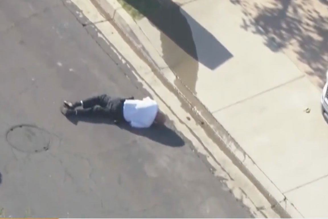 <i>KCAL/KCBS</i><br/>An LAPD volunteer who was swarmed by hundreds of bees in an Encino neighborhood was hospitalized Monday afternoon with dozens of stings. At least one other person was also hospitalized after being swarmed.