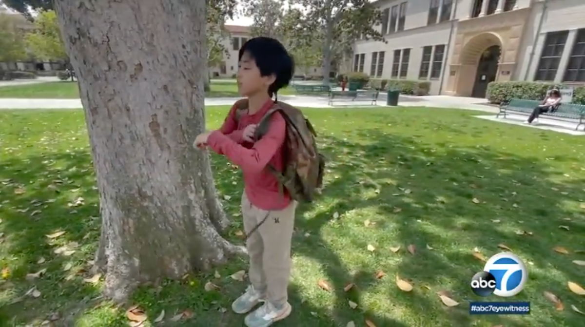 <i>KABC</i><br/>A 12-year-old has set a new record at Fullerton College as its youngest graduate