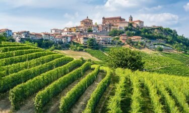 The beautiful village of La Morra and its vineyards in Piedmont