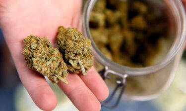 Marijuana use can harm fetal development in the first trimester