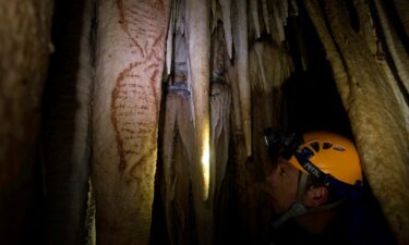 The Nerja Caves have been visited for over 41