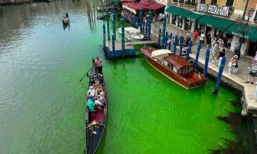 A gondola crosses Venice's historical Grand Canal as a patch of phosphorescent green liquid spreads in it