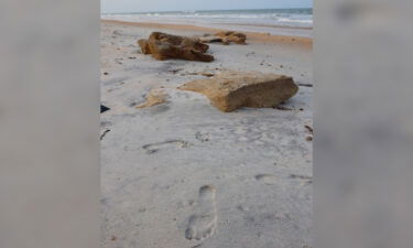 Human DNA was recovered from a footprint on a Florida beach.