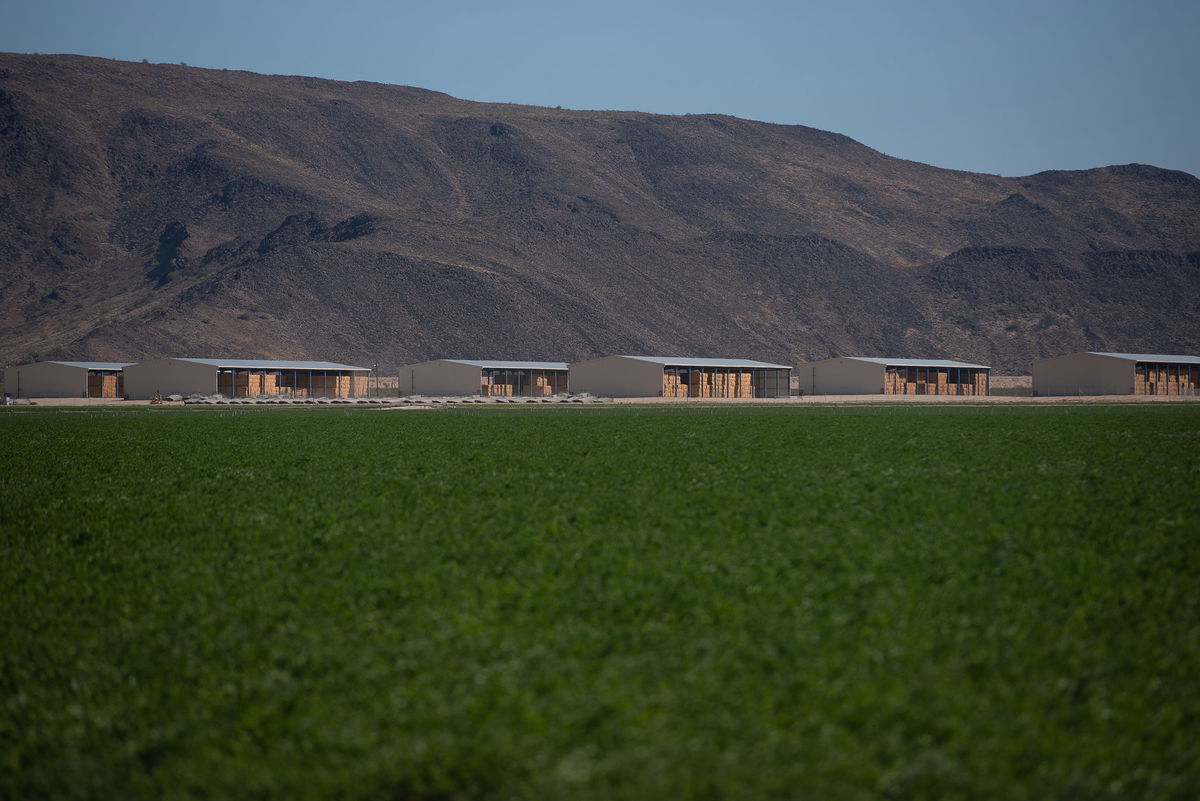 <i>Rebecca Noble for CNN</i><br/>Amid Arizona's worsening groundwater crisis