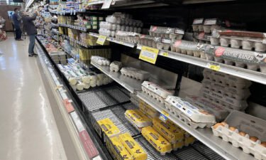 Egg prices have been declining this year.