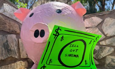 A pig prop with a sign that reads "Sell Out Sinema" is seen at a news conference in Phoenix.