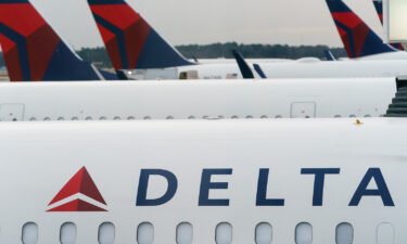 A swarm of bees touched down on a parked Delta Air Lines aircraft on May 3