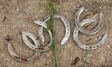 Discarded horseshoes are seen here in the barn area during the morning training for the Kentucky Derby at Churchill Downs on April 29. Officials from the Churchill Downs racetrack have described the recent deaths of four horses as "unacceptable."