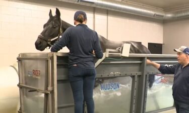 Foxhall Equine is a place to rest and recover. Treatments include an underwater treadmill.