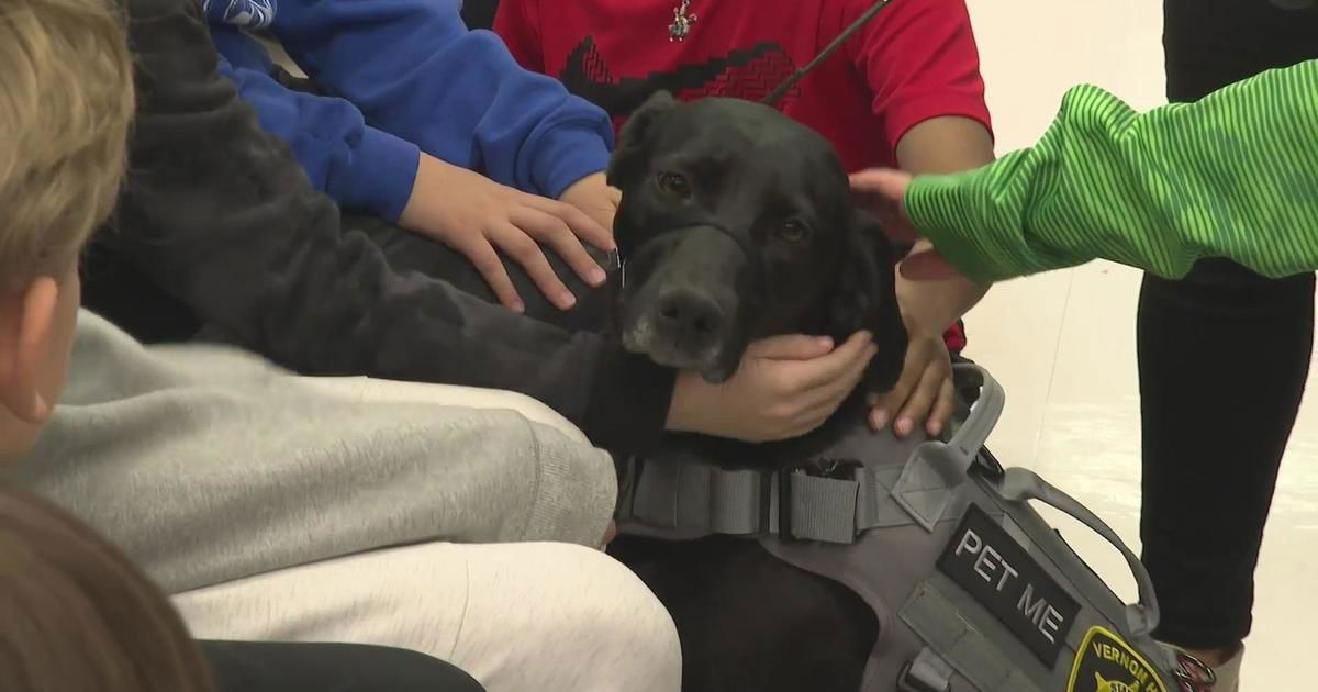 <i>WBBM</i><br/>Vernon Hills police recruited a therapy dog after middle school students wrote letters to the department
