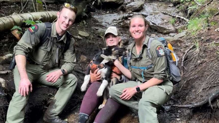 <i>New York DEC Forest Rangers/WPTZ</i><br/>DEC Rangers Ordway and O'Connor are pictured here with Wilson and his owner.