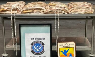 U.S. Customs and Border Protection officers at the Area Port of Nogales confiscated 242 pounds of Totoaba swim bladders protected by the Convention on International Trade in Endangered Species of Wild Fauna and Flora and the Endangered Species Act with an estimated value of $2