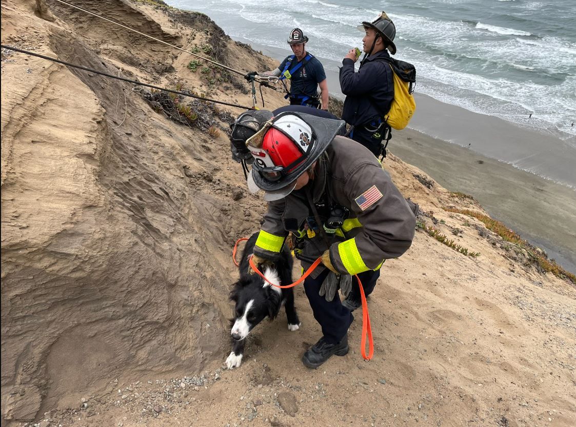 <i>San Francisco Fire Department/KPIX</i><br/>A man and his two dogs were rescued off a cliff at Fort Funston in San Francisco.