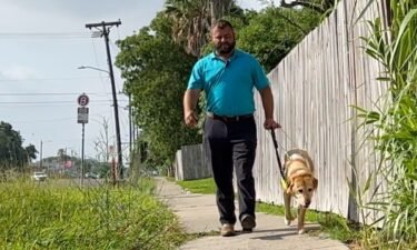 The state of Texas has tightened its leash on people trying to pass their pets off as service animals.