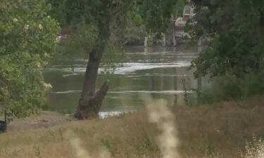 Thirteen-year-old Elijah went after the ball but started struggling in the water. That's when his 15-year-old brother Amari tried to rescue him.