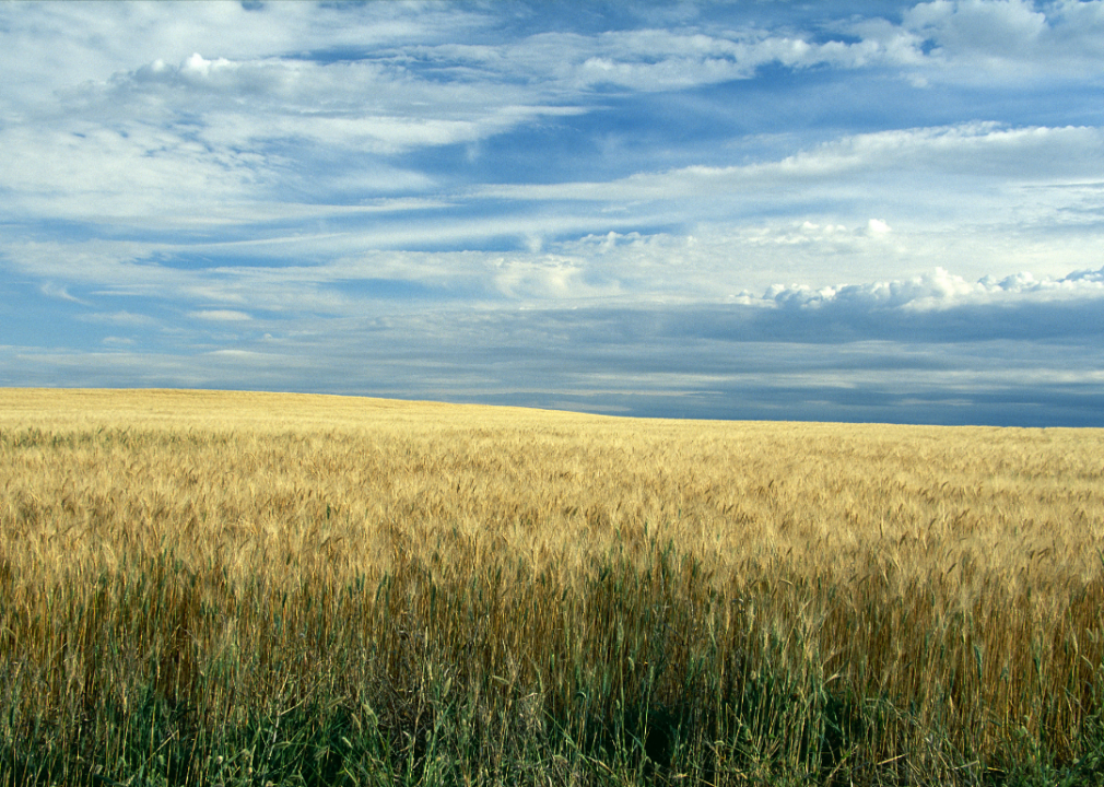 Counties with the most farmland in Idaho