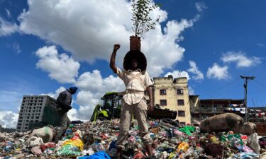 A costumed group have been re-wilding Nairobi by planting seedlings and trees throughout Kenya's capital.