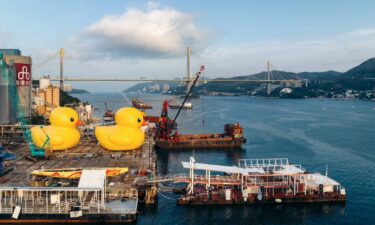 The ducks were spotted during a test run in Hong Kong on May 25.